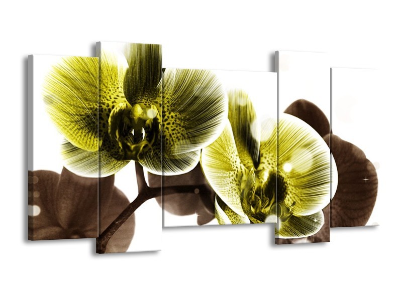 Canvas schilderij Orchidee | Geel, Grijs | 120x65 5Luik