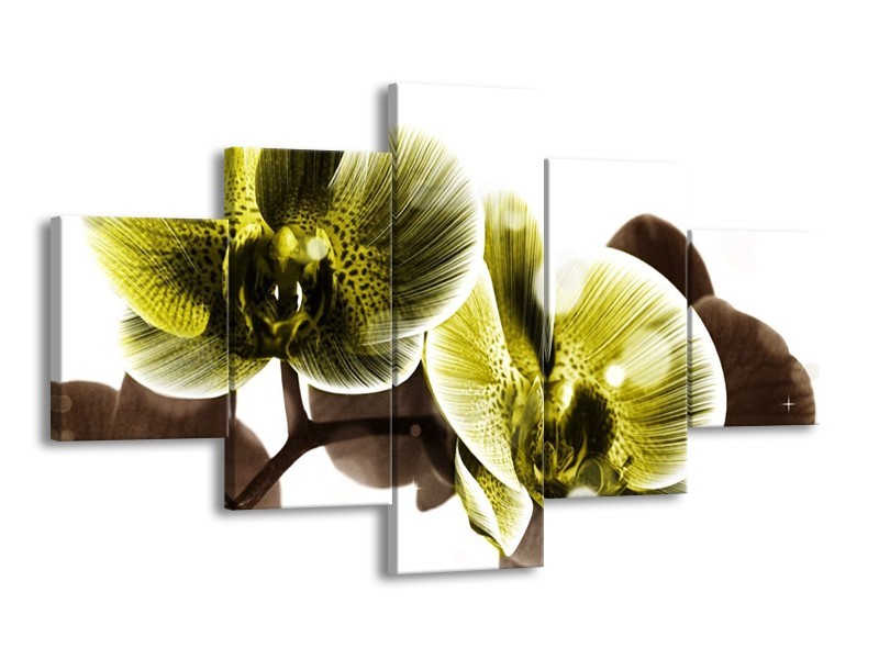 Canvas schilderij Orchidee | Geel, Grijs | 125x70cm 5Luik