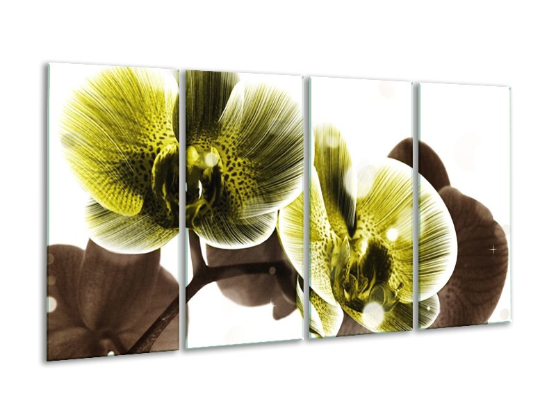Canvas schilderij Orchidee | Geel, Grijs | 160x80cm 4Luik