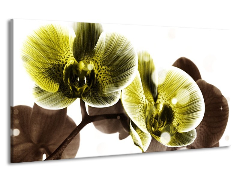 Canvas schilderij Orchidee | Geel, Grijs | 190x100cm 1Luik
