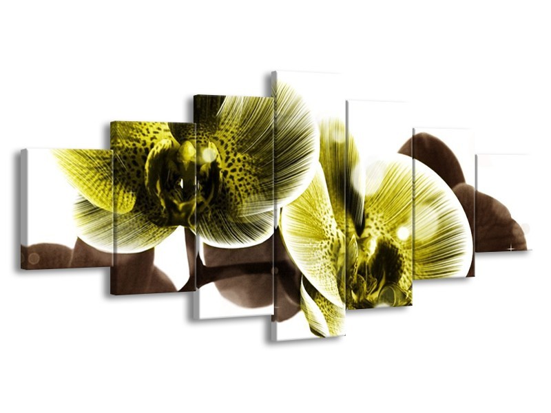 Canvas schilderij Orchidee | Geel, Grijs | 210x100cm 7Luik