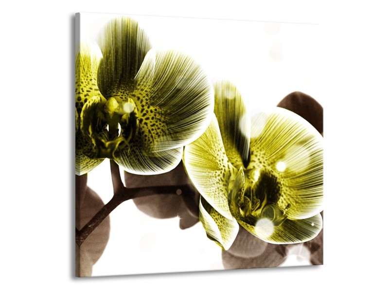 Canvas schilderij Orchidee | Geel, Grijs | 50x50cm 1Luik