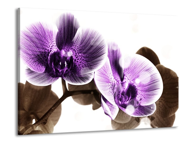 Canvas schilderij Orchidee | Paars, Grijs | 100x70cm 1Luik
