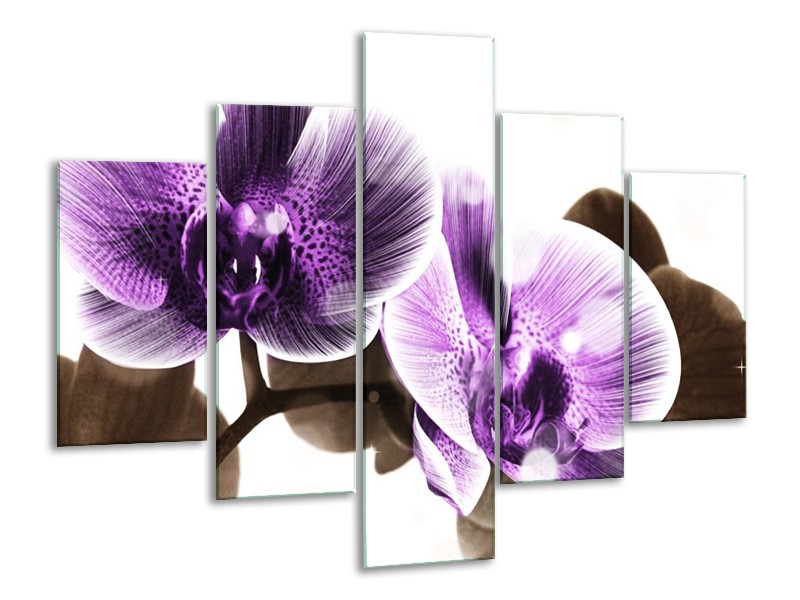 Canvas schilderij Orchidee | Paars, Grijs | 100x70cm 5Luik