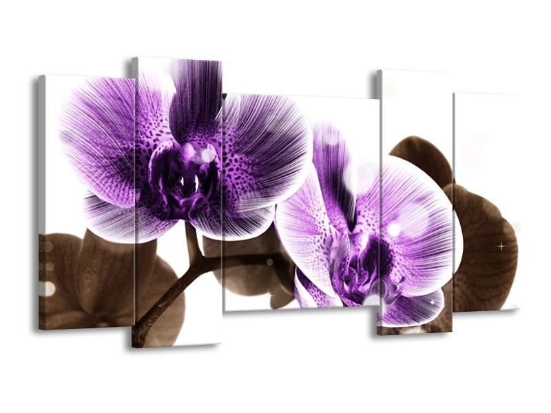 Canvas schilderij Orchidee | Paars, Grijs | 120x65 5Luik