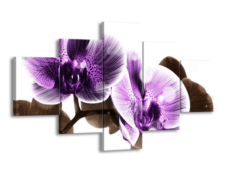 Canvas schilderij Orchidee | Paars, Grijs | 125x70cm 5Luik