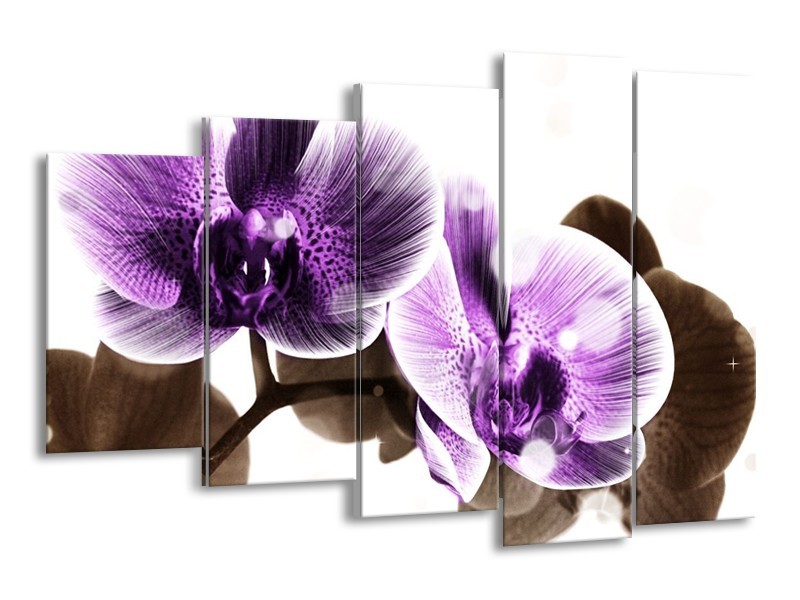 Canvas schilderij Orchidee | Paars, Grijs | 150x100cm 5Luik