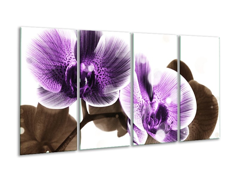 Canvas schilderij Orchidee | Paars, Grijs | 160x80cm 4Luik