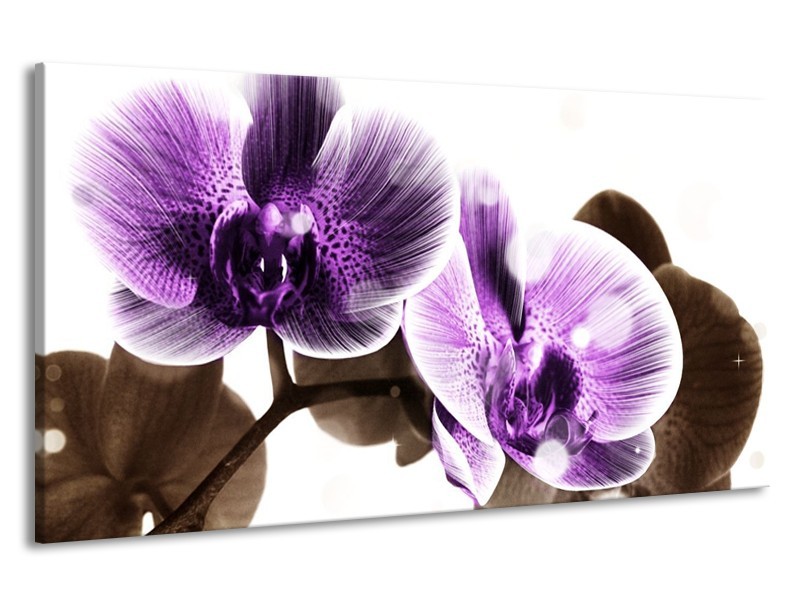 Canvas schilderij Orchidee | Paars, Grijs | 190x100cm 1Luik