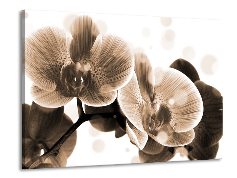 Canvas schilderij Orchidee | Grijs, Wit | 100x70cm 1Luik
