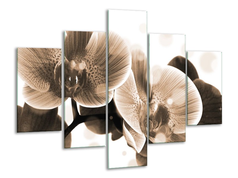 Glas schilderij Orchidee | Grijs, Wit | 100x70cm 5Luik