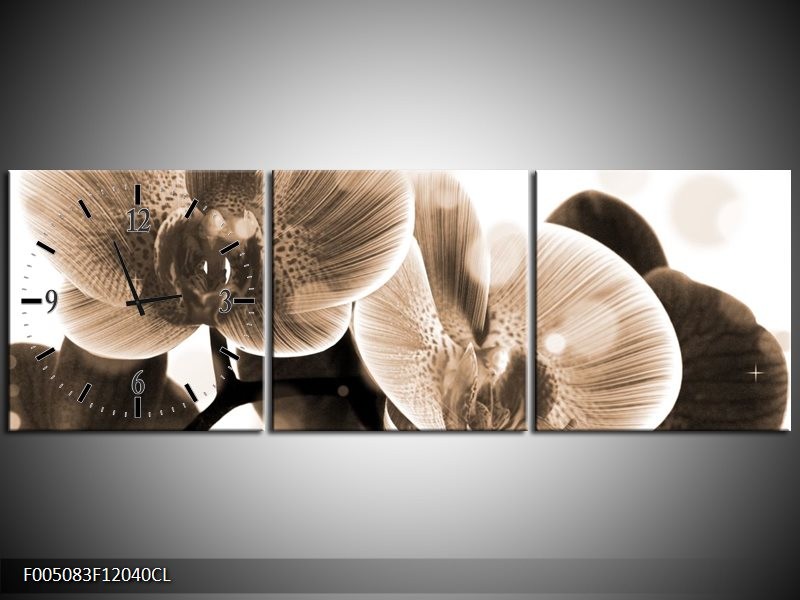 Klok schilderij Orchidee | Grijs, Wit | 120x40cm 3Luik