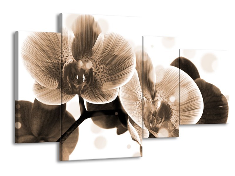 Canvas schilderij Orchidee | Grijs, Wit | 120x75cm 4Luik
