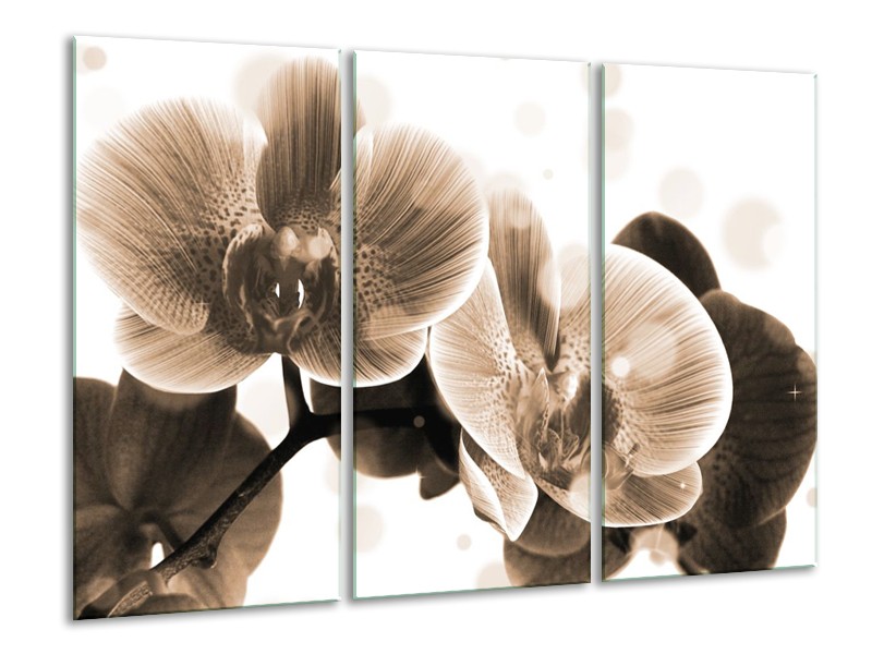 Glas schilderij Orchidee | Grijs, Wit | 120x80cm 3Luik