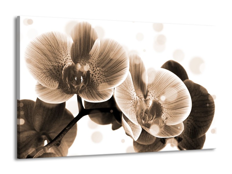 Canvas schilderij Orchidee | Grijs, Wit | 140x90cm 1Luik