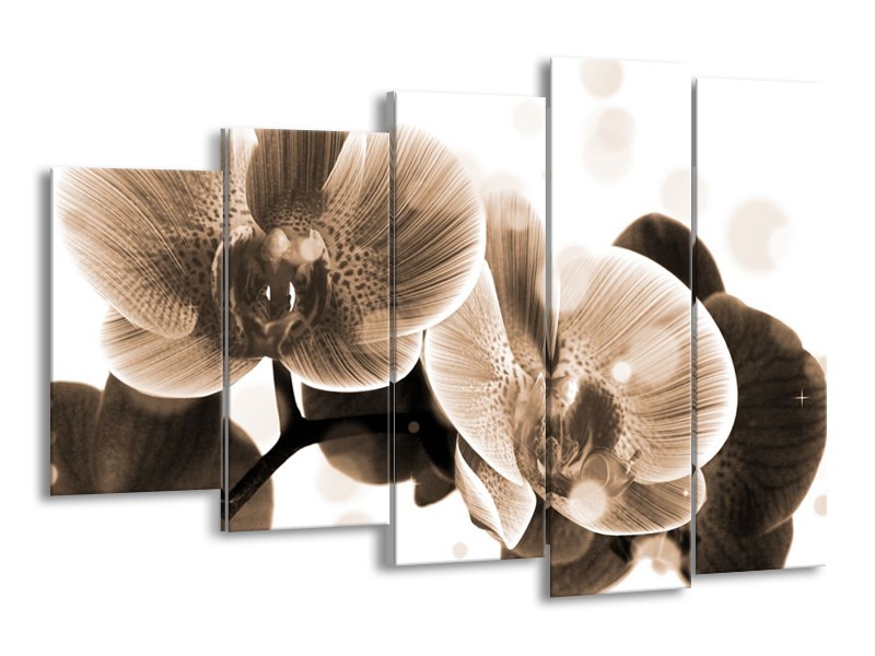 Glas schilderij Orchidee | Grijs, Wit | 150x100cm 5Luik