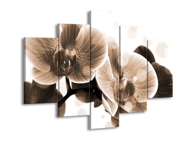 Canvas schilderij Orchidee | Grijs, Wit | 150x105cm 5Luik