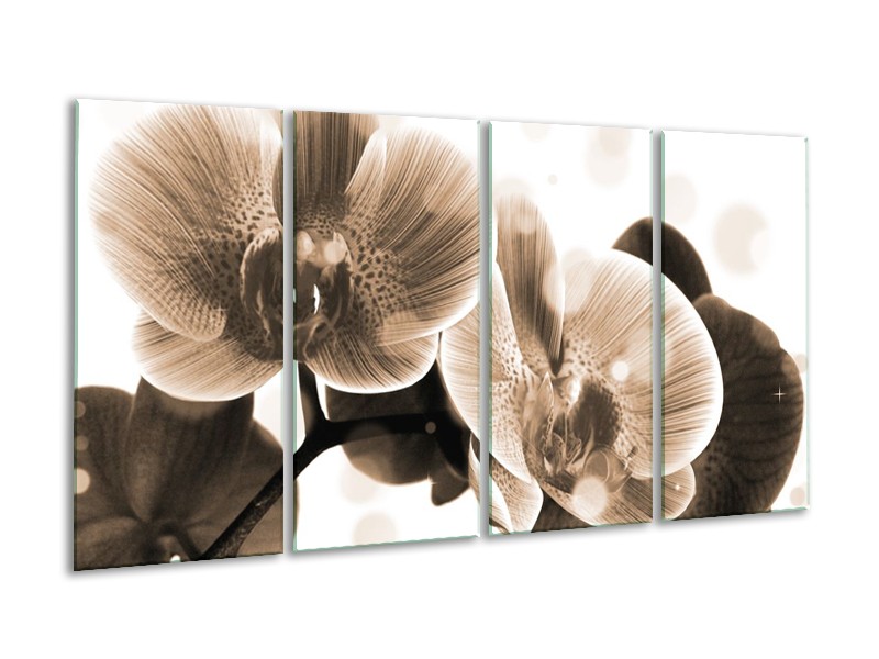 Glas schilderij Orchidee | Grijs, Wit | 160x80cm 4Luik