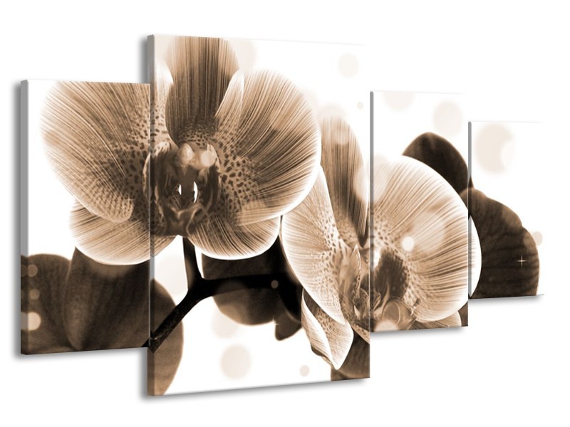 Glas schilderij Orchidee | Grijs, Wit | 160x90cm 4Luik