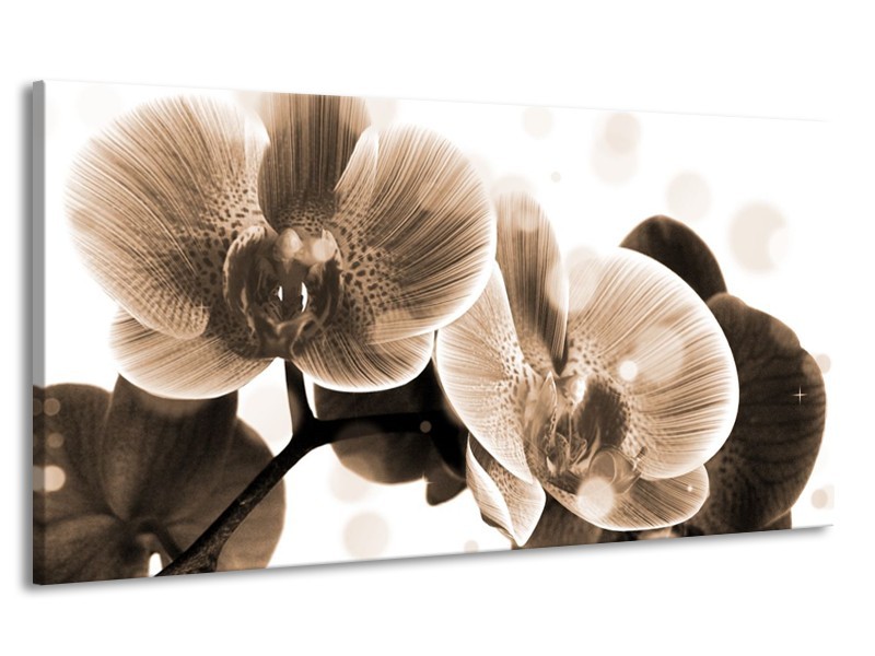Canvas schilderij Orchidee | Grijs, Wit | 170x90cm 1Luik