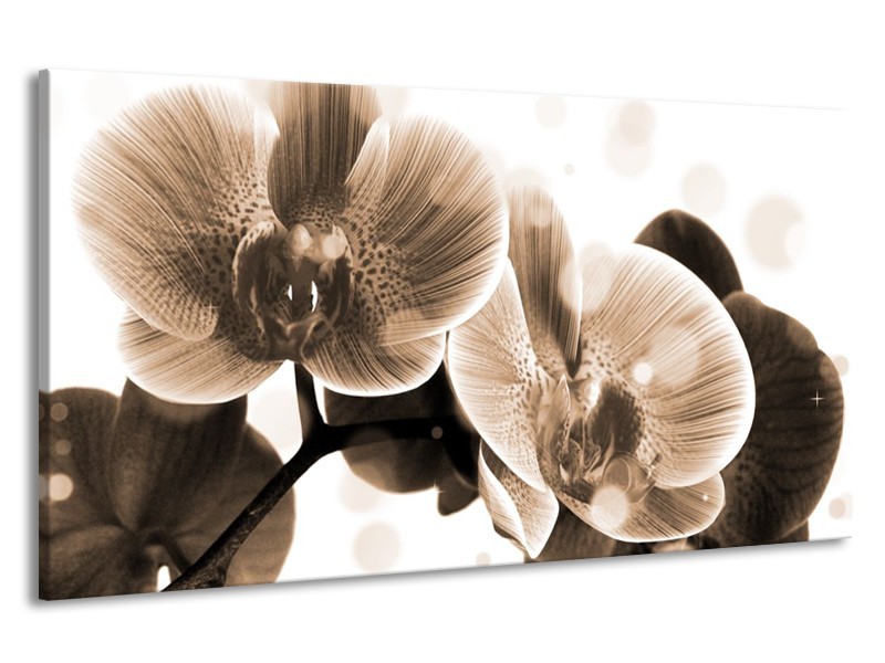 Canvas schilderij Orchidee | Grijs, Wit | 190x100cm 1Luik