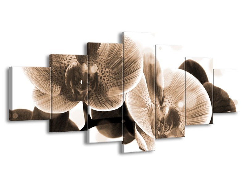 Glas schilderij Orchidee | Grijs, Wit | 210x100cm 7Luik