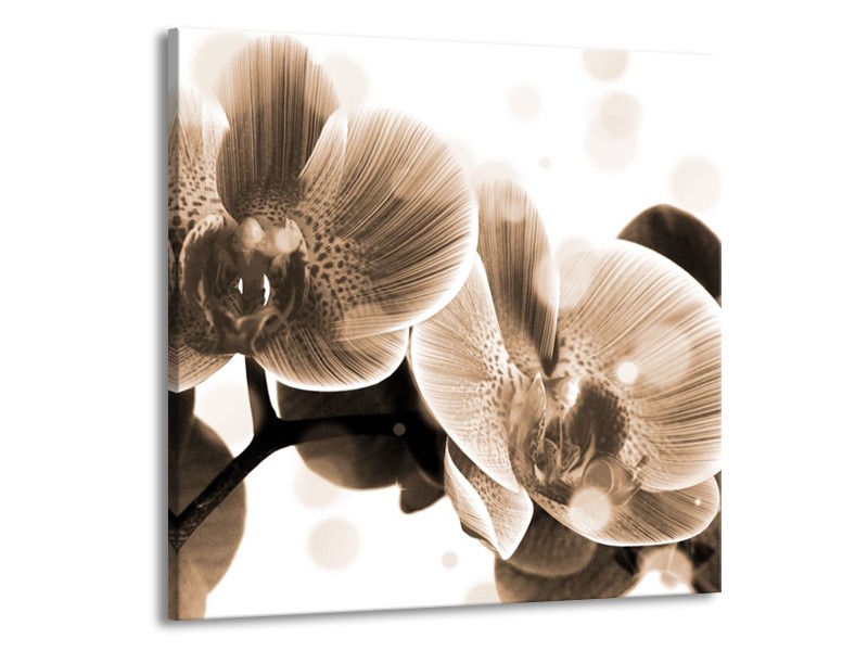 Canvas schilderij Orchidee | Grijs, Wit | 50x50cm 1Luik