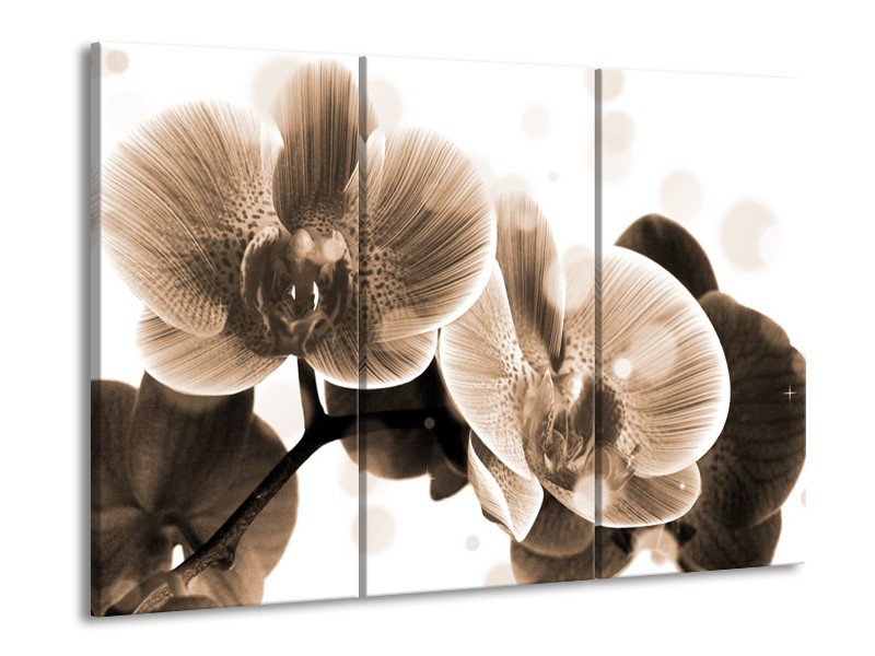 Glas schilderij Orchidee | Grijs, Wit | 90x60cm 3Luik