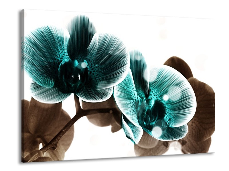Canvas schilderij Orchidee | Groen, Wit | 100x70cm 1Luik