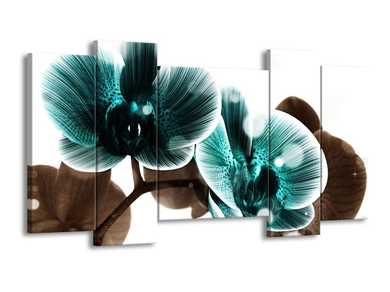 Canvas schilderij Orchidee | Groen, Wit | 120x65 5Luik