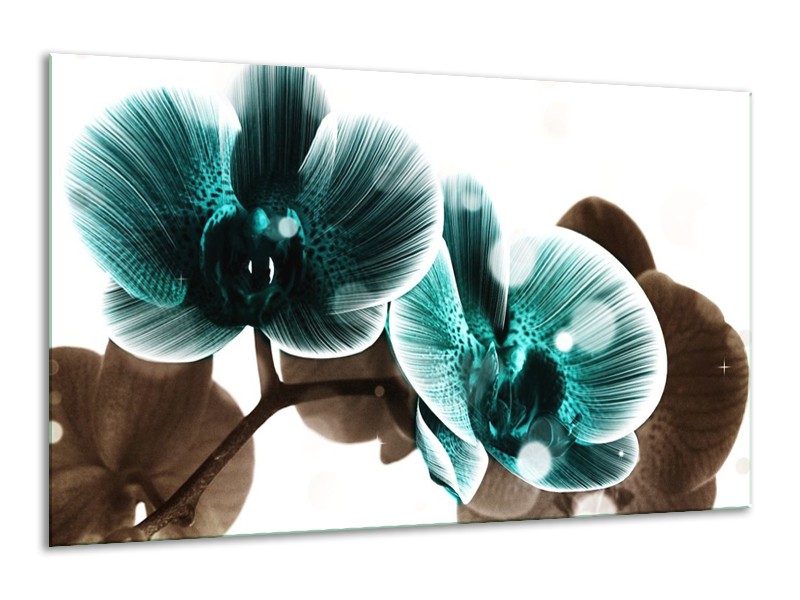 Canvas schilderij Orchidee | Groen, Wit | 120x70cm 1Luik