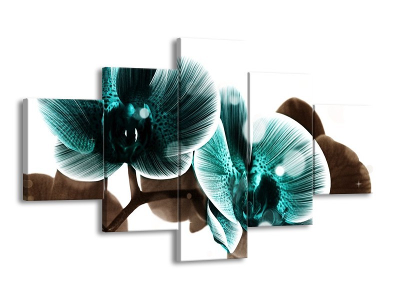 Canvas schilderij Orchidee | Groen, Wit | 125x70cm 5Luik