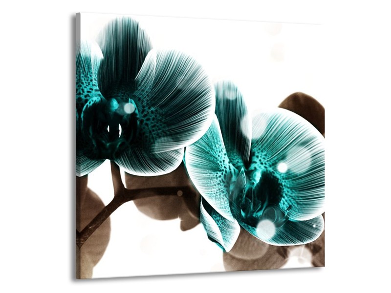 Canvas schilderij Orchidee | Groen, Wit | 50x50cm 1Luik