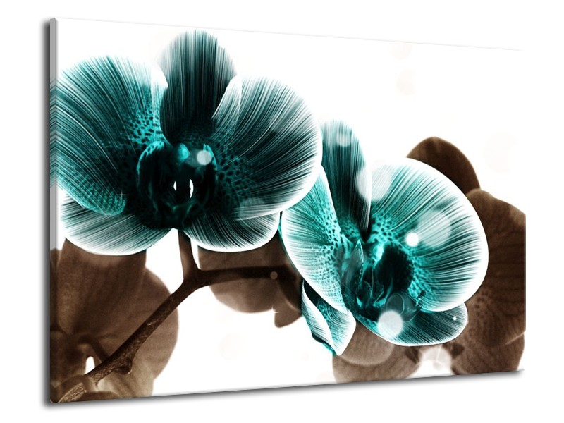 Canvas schilderij Orchidee | Groen, Wit | 70x50cm 1Luik