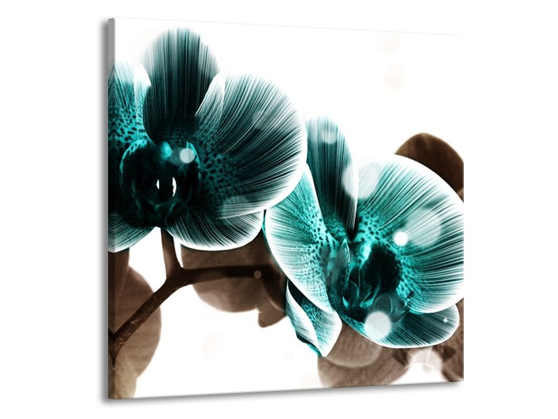Canvas schilderij Orchidee | Groen, Wit | 70x70cm 1Luik