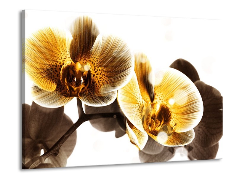 Canvas schilderij Orchidee | Geel, Bruin, Wit | 100x70cm 1Luik