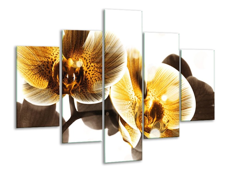 Canvas schilderij Orchidee | Geel, Bruin, Wit | 100x70cm 5Luik