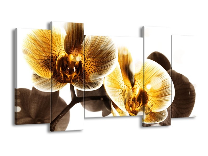 Canvas schilderij Orchidee | Geel, Bruin, Wit | 120x65 5Luik