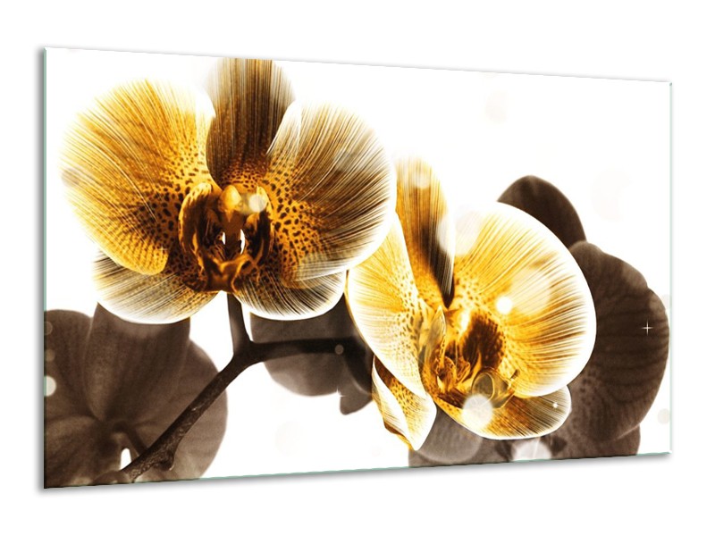 Canvas schilderij Orchidee | Geel, Bruin, Wit | 120x70cm 1Luik