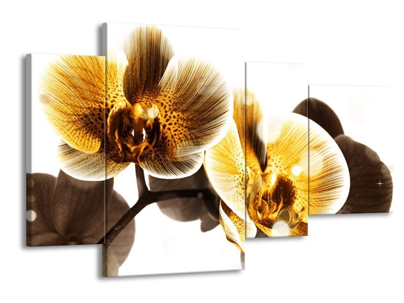 Canvas schilderij Orchidee | Geel, Bruin, Wit | 120x75cm 4Luik