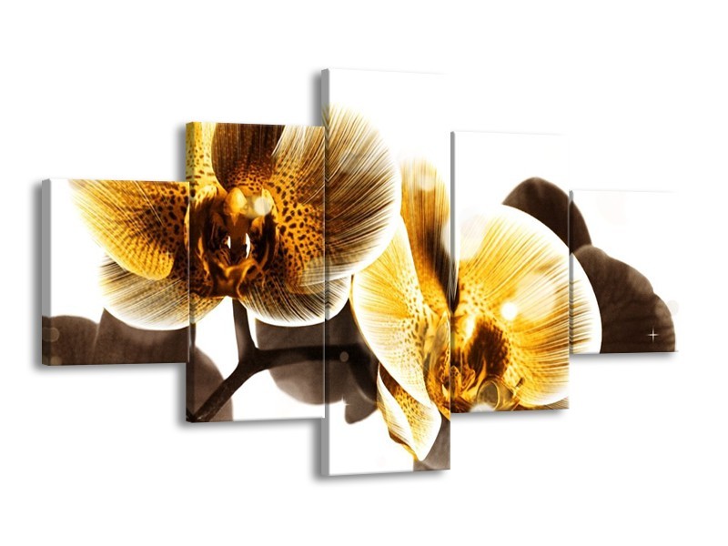 Canvas schilderij Orchidee | Geel, Bruin, Wit | 125x70cm 5Luik