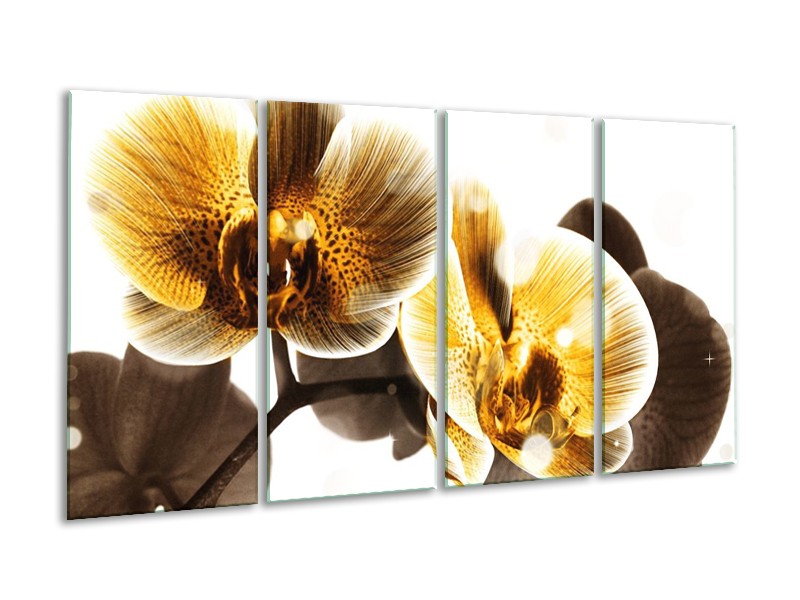 Canvas schilderij Orchidee | Geel, Bruin, Wit | 160x80cm 4Luik
