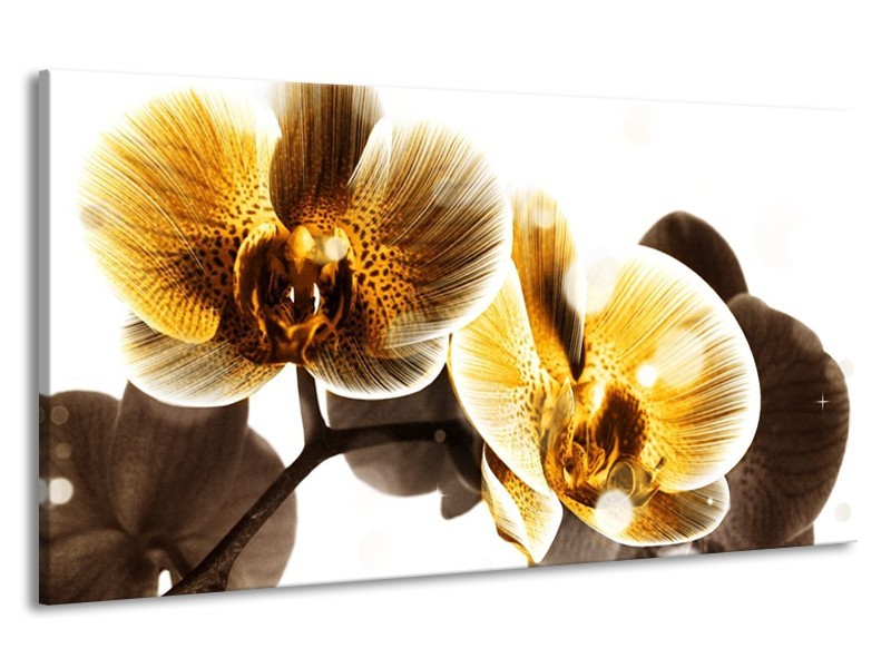 Canvas schilderij Orchidee | Geel, Bruin, Wit | 190x100cm 1Luik