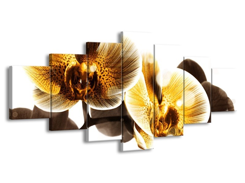 Canvas schilderij Orchidee | Geel, Bruin, Wit | 210x100cm 7Luik