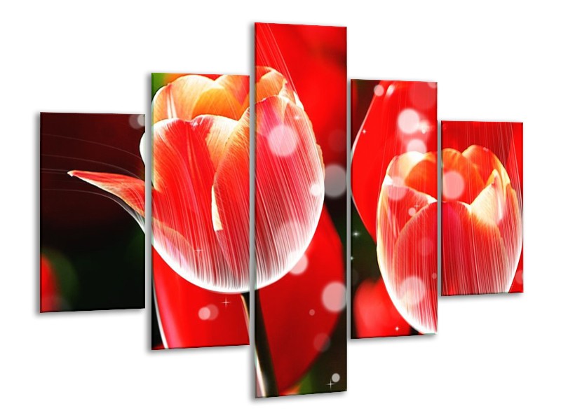 Canvas schilderij Tulp | Rood, Wit | 100x70cm 5Luik