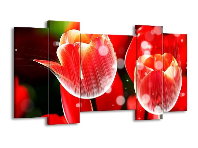 Canvas schilderij Tulp | Rood, Wit | 120x65 5Luik