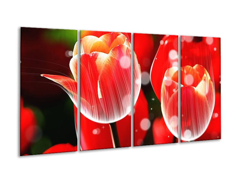 Canvas schilderij Tulp | Rood, Wit | 160x80cm 4Luik