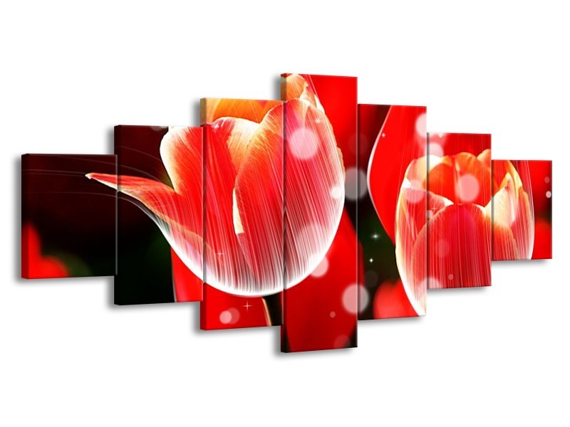 Canvas schilderij Tulp | Rood, Wit | 210x100cm 7Luik