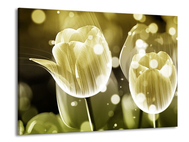Canvas schilderij Tulp | Wit, Grijs | 100x70cm 1Luik
