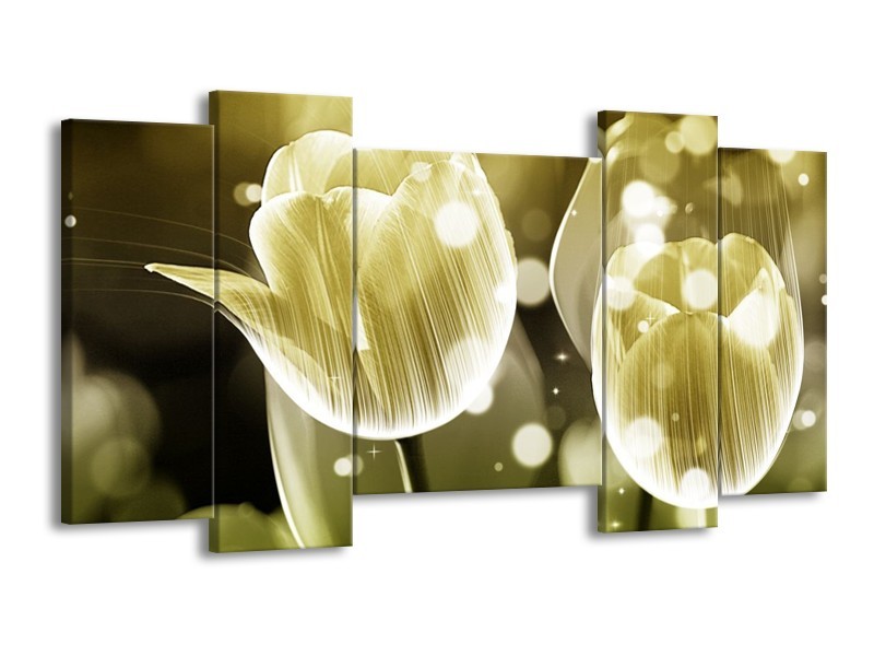 Canvas schilderij Tulp | Wit, Grijs | 120x65 5Luik